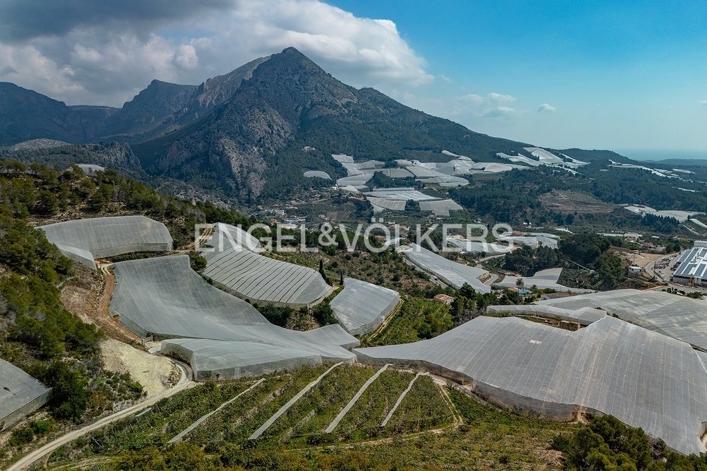 Land in Callosa d'en Sarria, Valencian Community, Spain 5 - 17696716