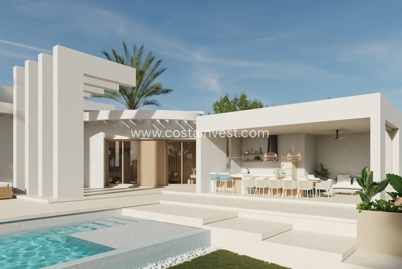 Villa in Algorfa, Valencian Community, Spain 2 - 17695245