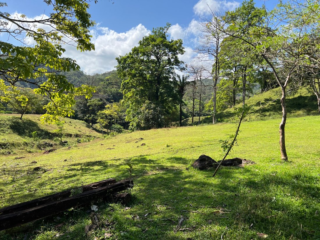 Land in Chepo, Panama, Panama 5 - 17698632