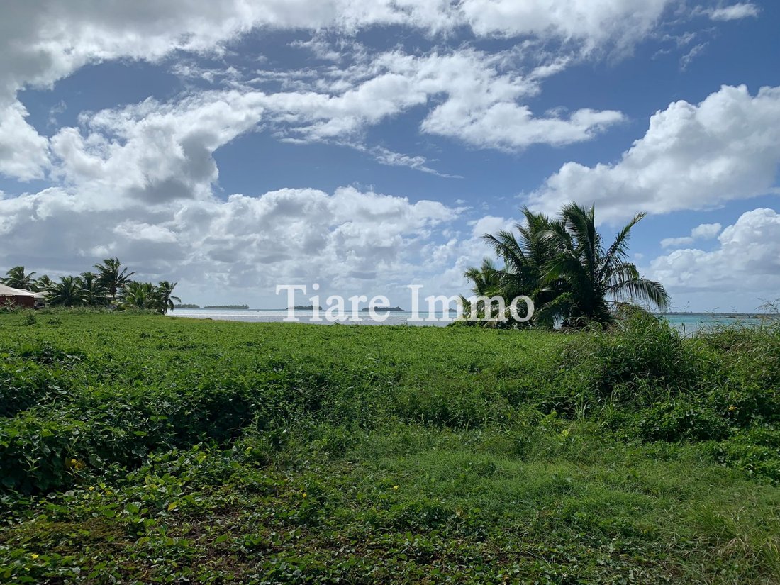 Land in Taha'a, Leeward Islands, French Polynesia 3 - 17689079