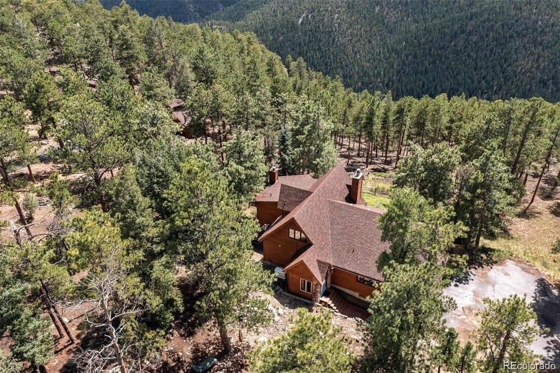 House in Bailey, Colorado, United States 1 - 17698809