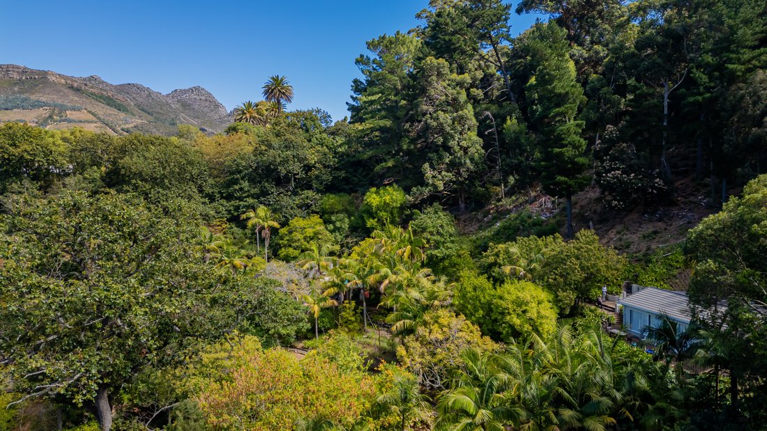 Country House in Hout Bay, South Peninsula, Cape Town 4 - 17699003
