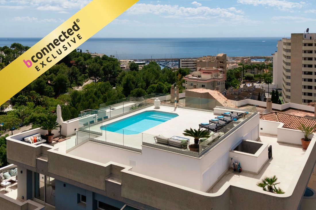 Apartment in Portals Nous, Calvia, Balearic Islands 1 - 17619301