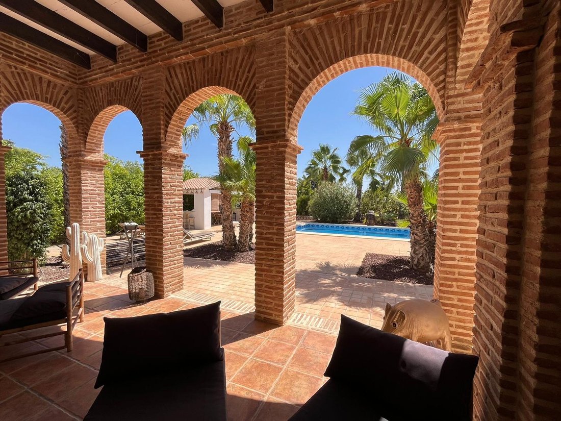 Villa in Elx / Elche, Valencian Community, Spain 2 - 17699815