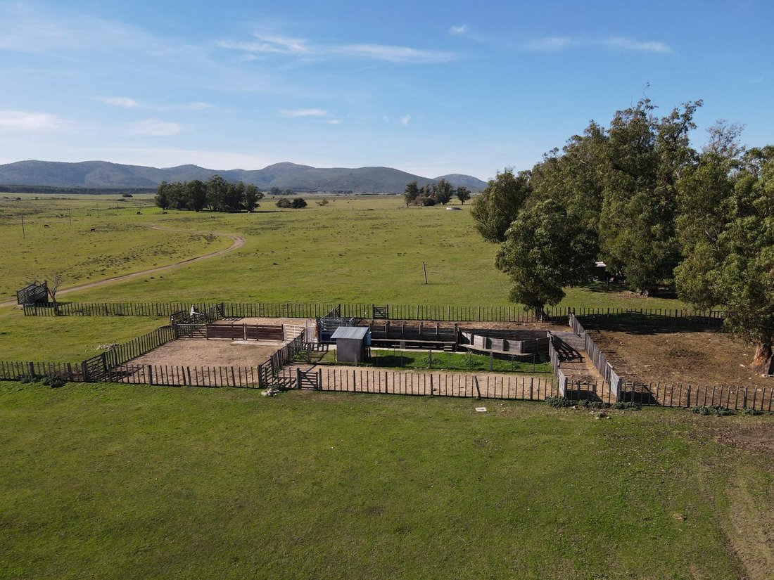 Estate in Pueblo Solis, Maldonado Department, Uruguay 4 - 17695652