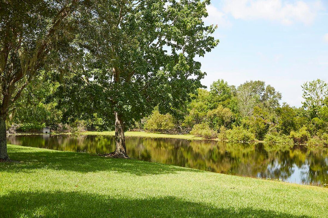 Land in Buckhead Ridge, Florida, Vereinigte Staaten 4 - 15367284