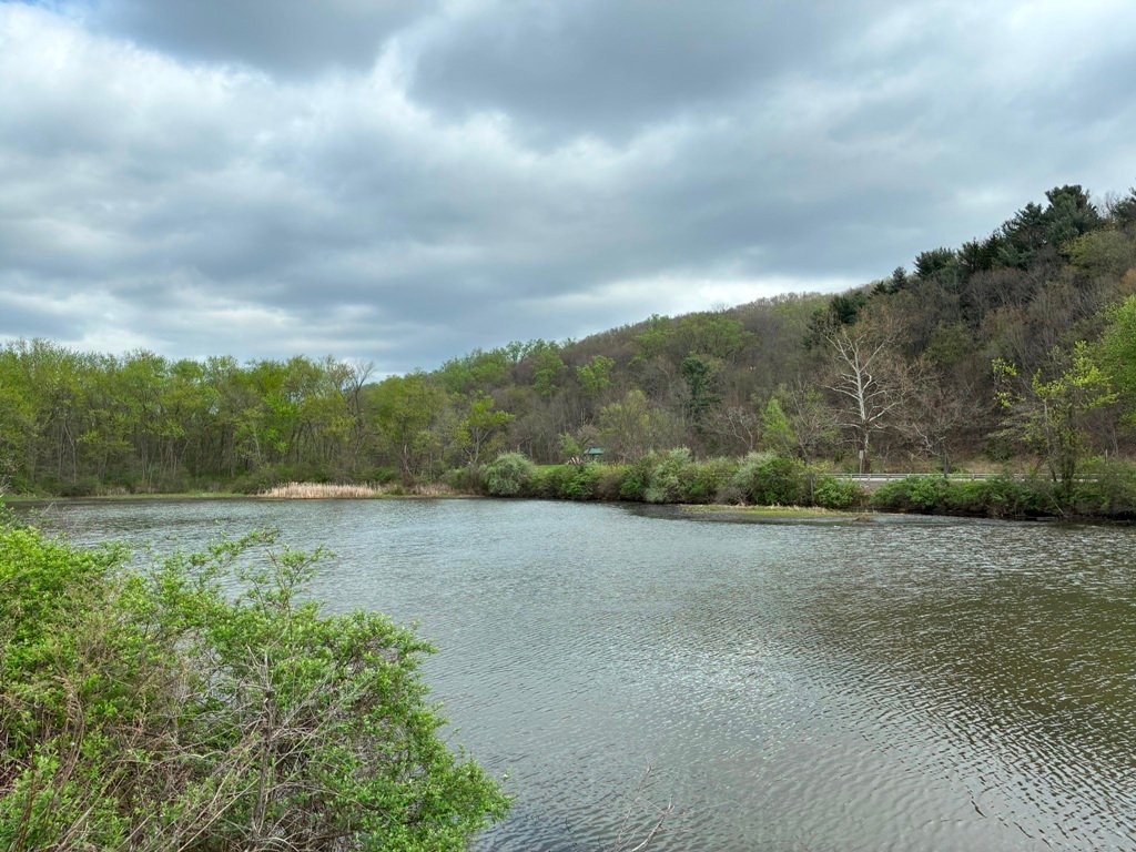 Land in New Cumberland, West Virginia, United States 2 - 17694832