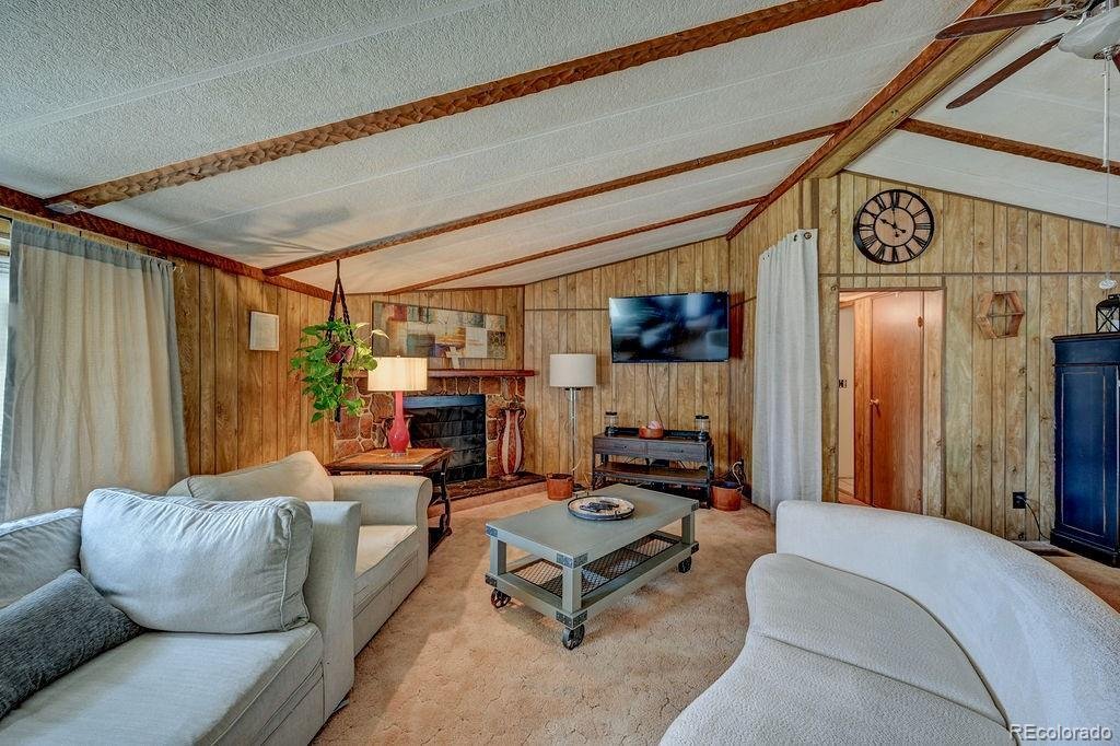 House in Buena Vista, Colorado, United States 3 - 17697884