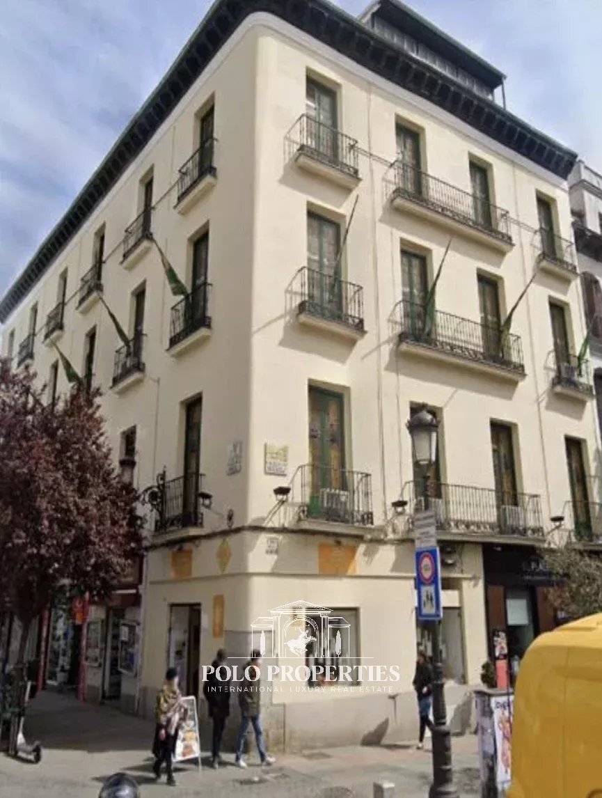Apartment in Centro, Madrid, Spain 1 - 16960505