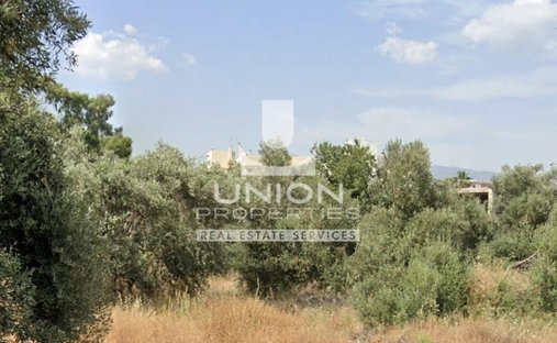 Land in Glyka Nera, Attica, Greece 1