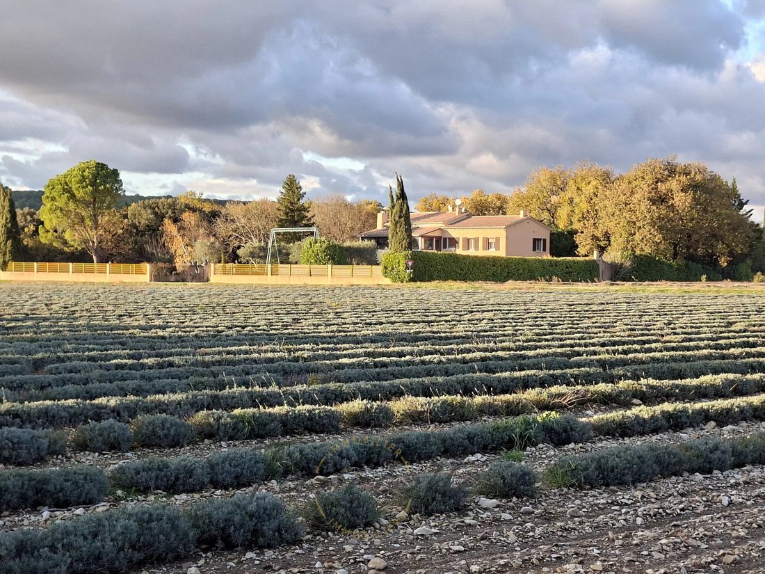 Villa in Grignan, Auvergne-Rhône-Alpes, France 2 - 17694918