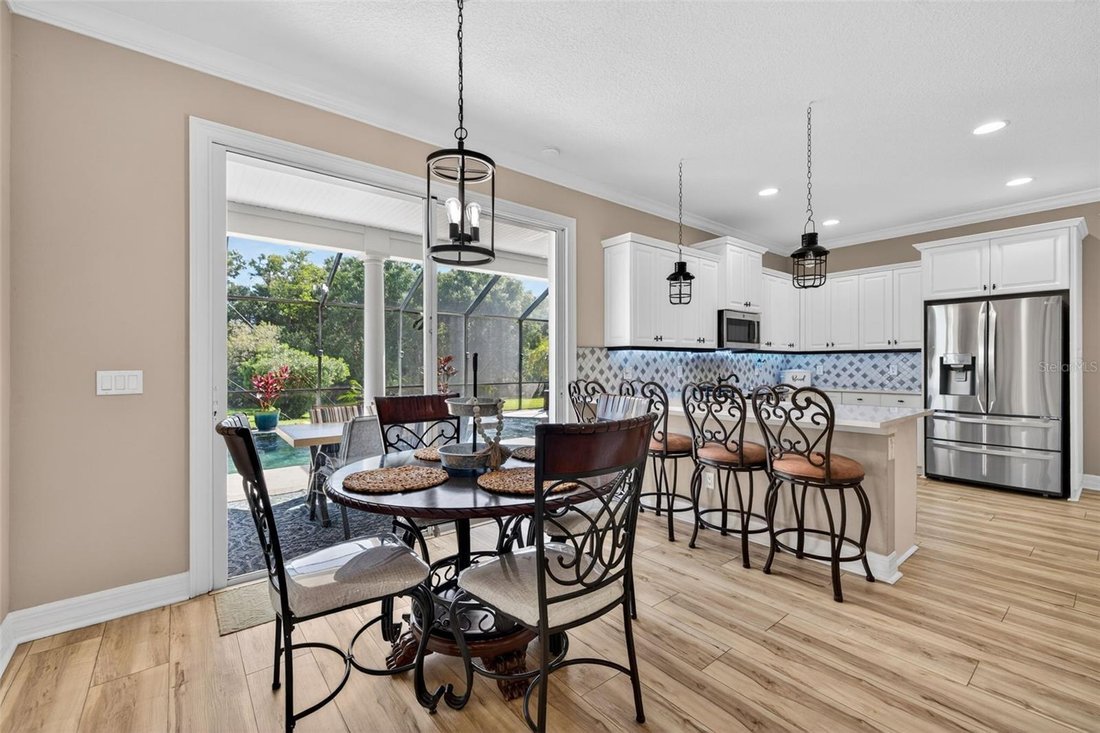 House in Parrish, Florida, United States 5 - 17695928