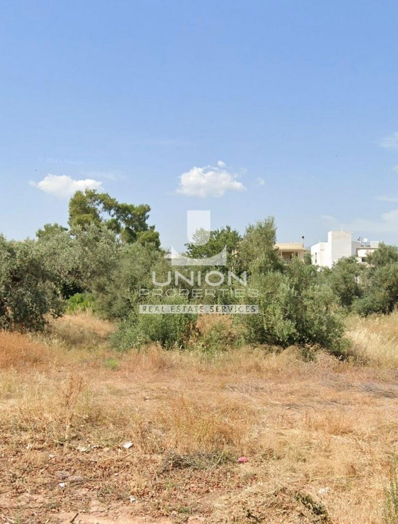 Land in Glyka Nera, Attica, Greece 4 - 17698445