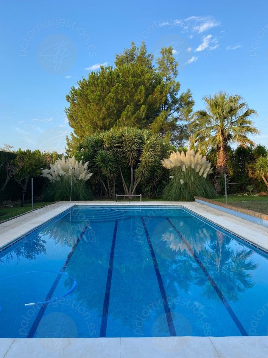 Villa in Palomares del Rio, Andalusia, Spain 2 - 17701493