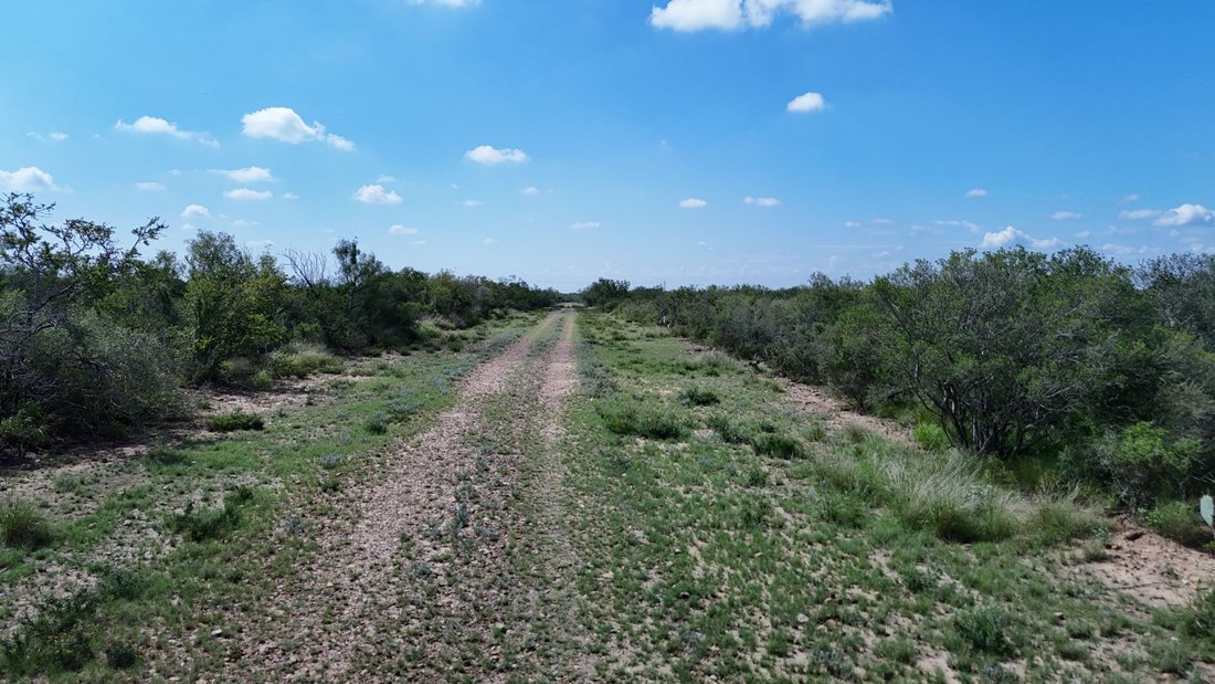 Farm Ranch in Crystal City, Texas, United States 5 - 17701692