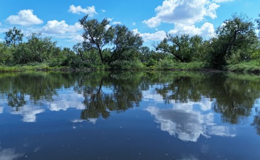 Farm Ranch in Crystal City, Texas, United States 1