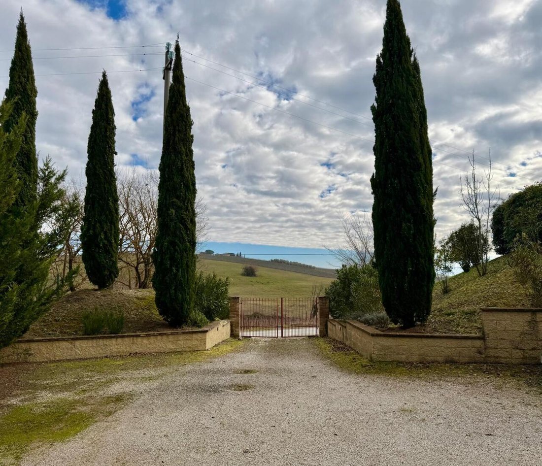 Estate in Montalcino, Tuscany, Italy 4 - 17701668