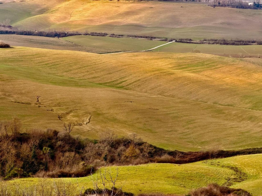 Estate in Montalcino, Tuscany, Italy 5 - 17701668