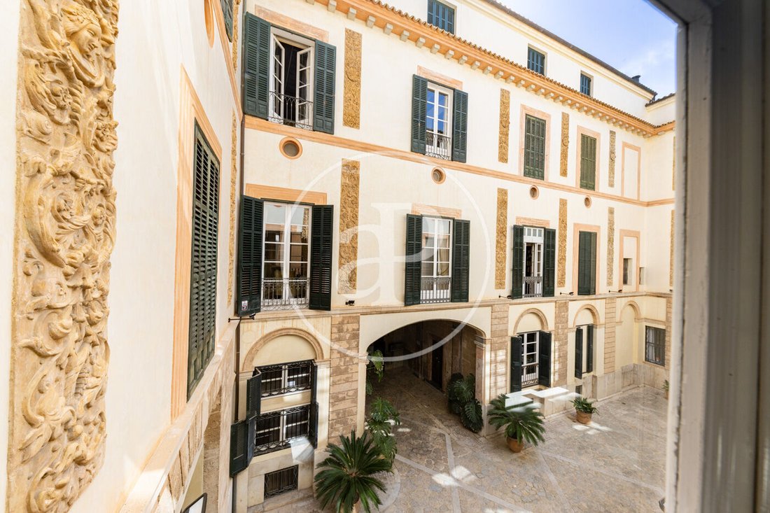 Apartment in Palma, Balearic Islands, Spain 3 - 17701719
