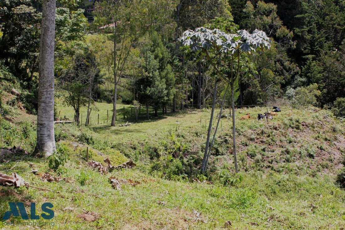 Land in Rionegro, Antioquia, Colombia 5 - 17700801