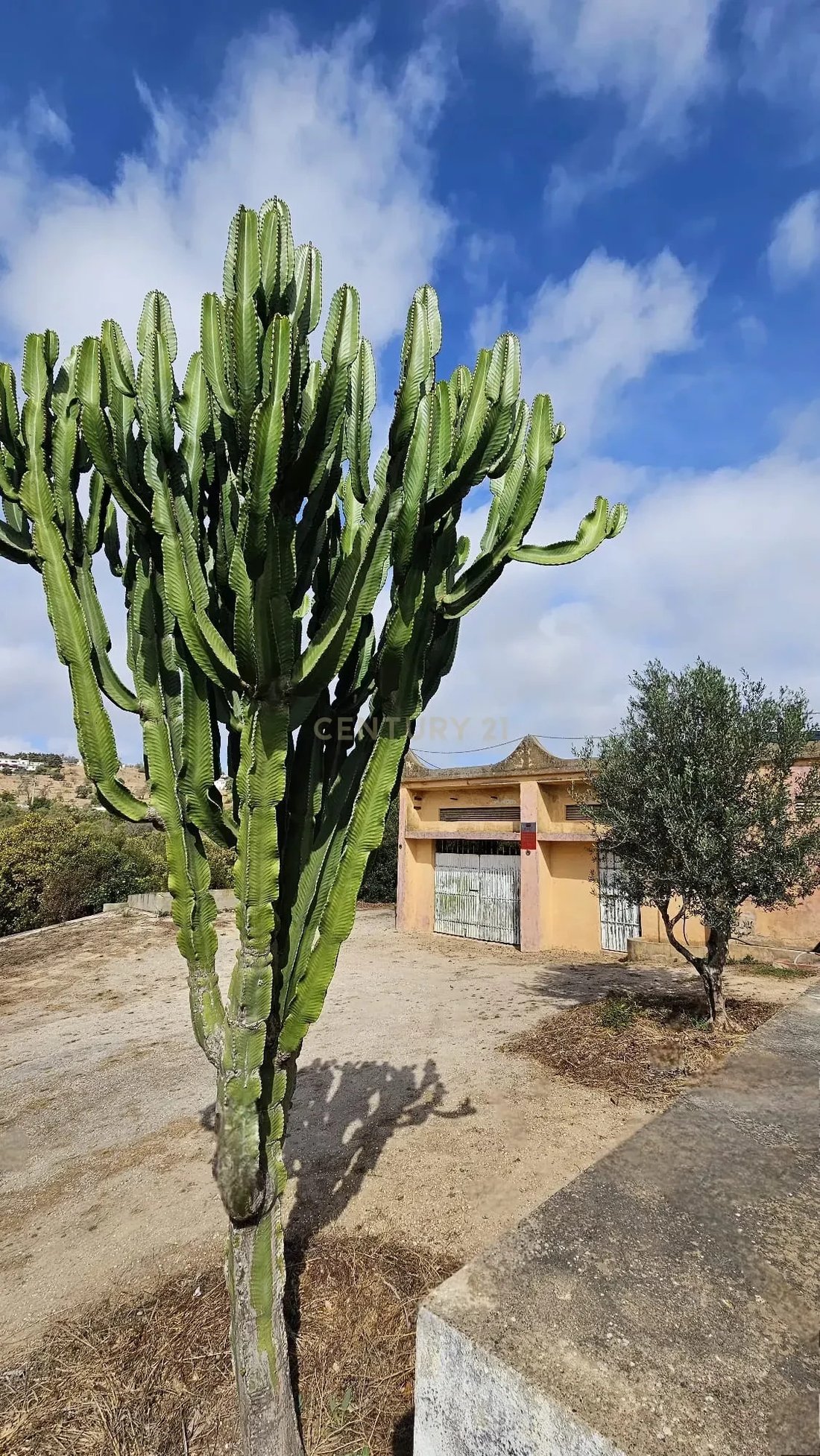Farm Ranch in Praia da Luz, Algarve, Portugal 5 - 17701744