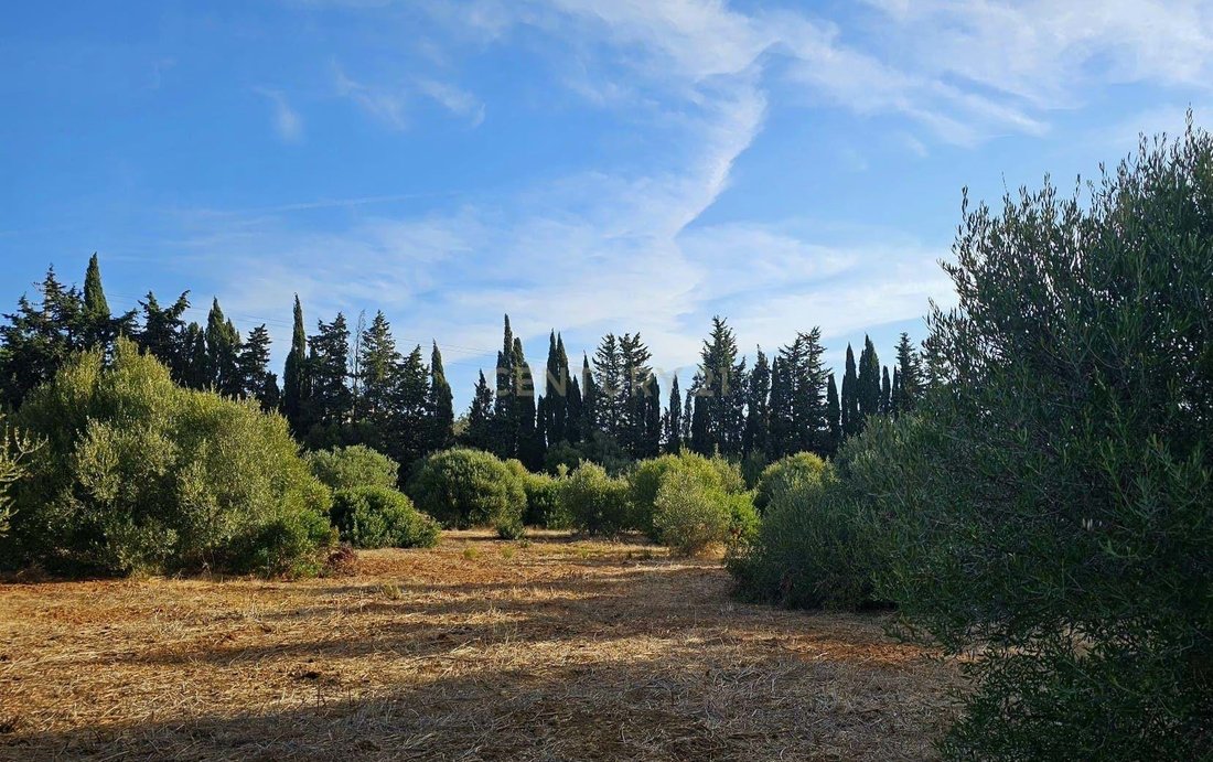 Farm Ranch in Praia da Luz, Algarve, Portugal 1 - 17701744