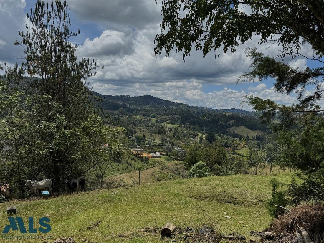 Land in Rionegro, Antioquia, Colombia 3 - 17700801