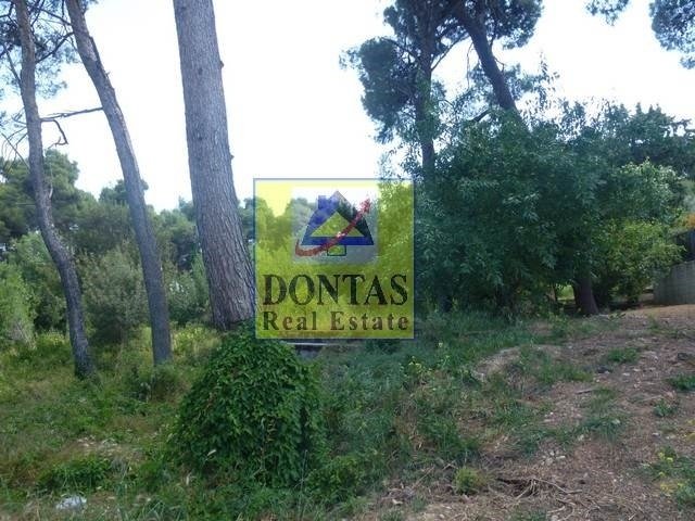 Land in Ekali, Attica, Greece 3 - 17494309