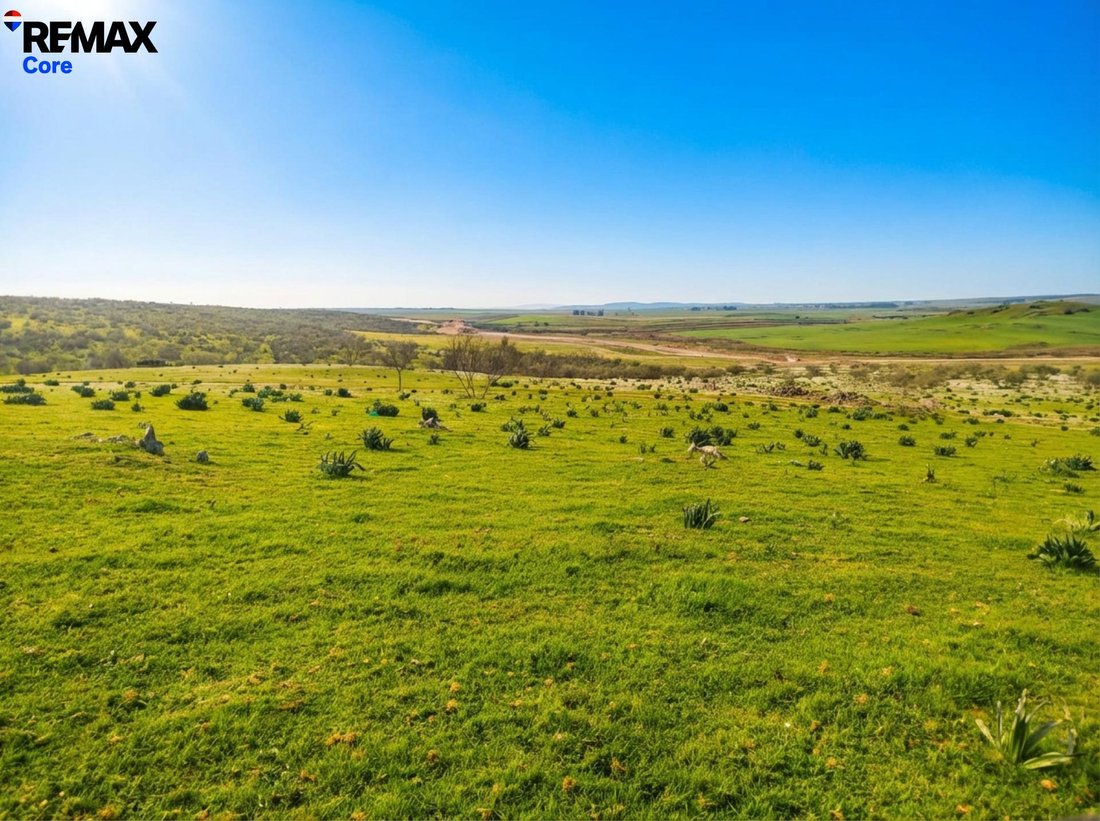Land in Zorita, Extremadura, Spain 1 - 17701789