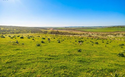 Land in Zorita, Extremadura, Spanien 1