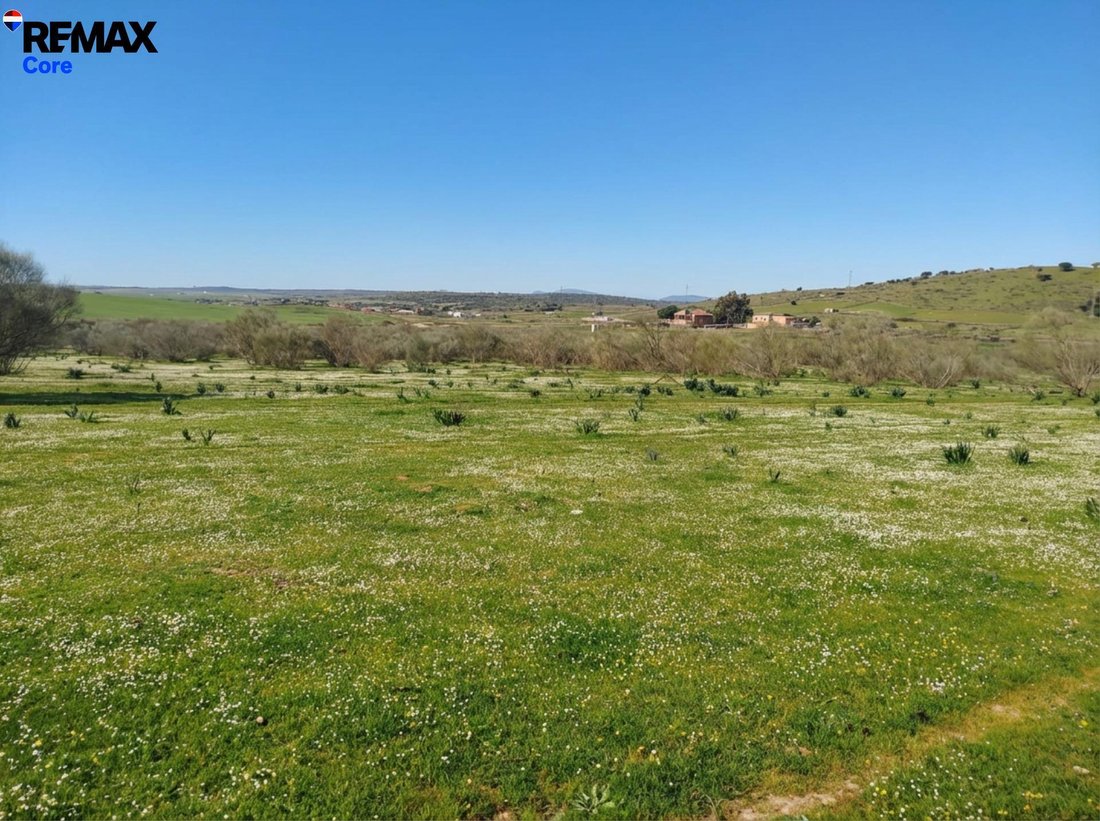 Land in Zorita, Extremadura, Spain 5 - 17701789