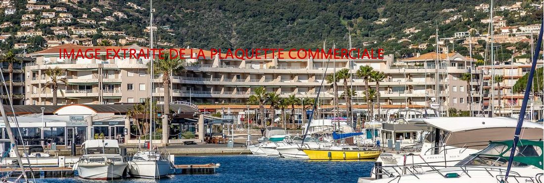 Apartment in Sud, Cavalaire-sur-Mer, France 1 - 17701750