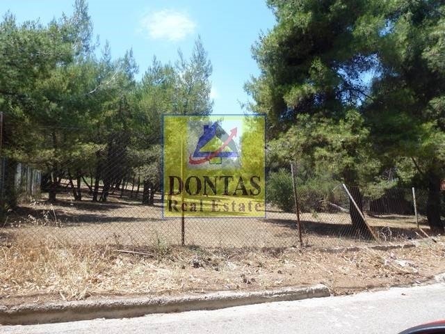 Land in Ekali, Attica, Greece 3 - 17494309