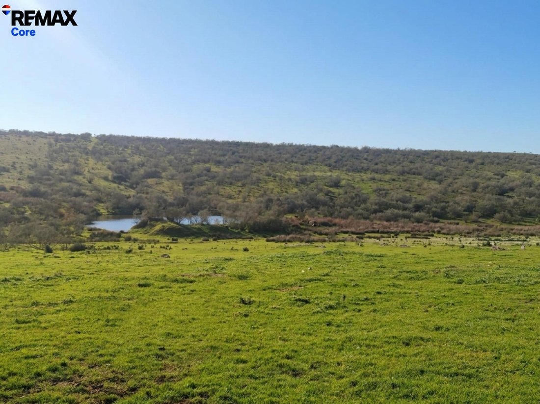 Land in Zorita, Extremadura, Spain 2 - 17701789
