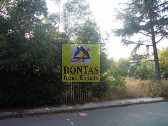 Land in Ekali, Attica, Greece 5 - 17494309