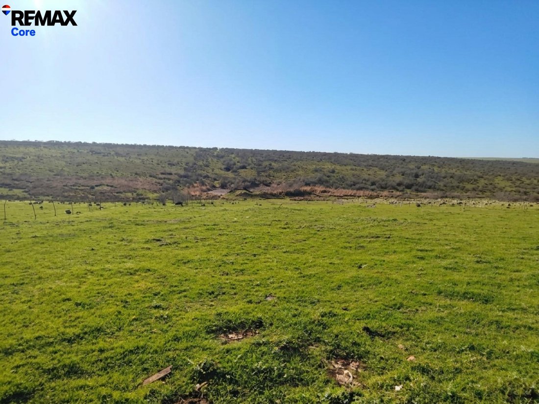 Land in Zorita, Extremadura, Spain 3 - 17701789