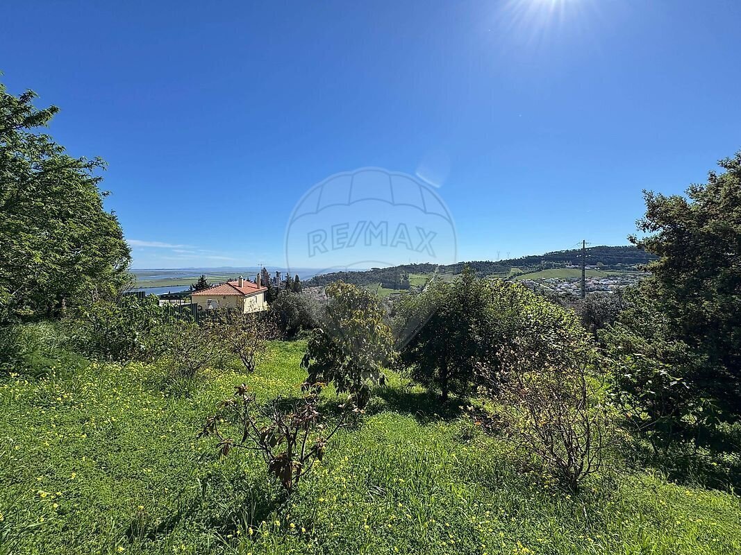 Land in São João dos Montes, Lisbon, Portugal 3 - 17701798