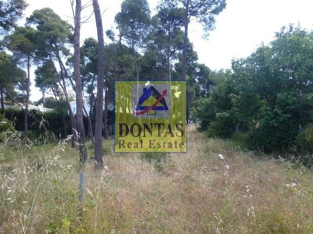 Land in Ekali, Attica, Greece 1 - 17494309