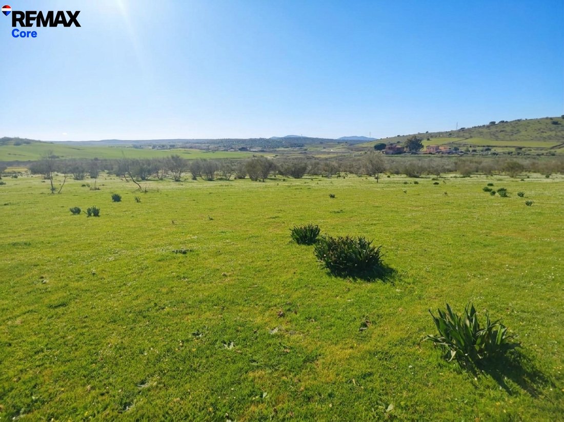 Land in Zorita, Extremadura, Spain 4 - 17701789