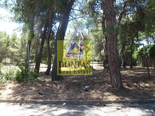 Land in Ekali, Attica, Greece 4 - 17494309