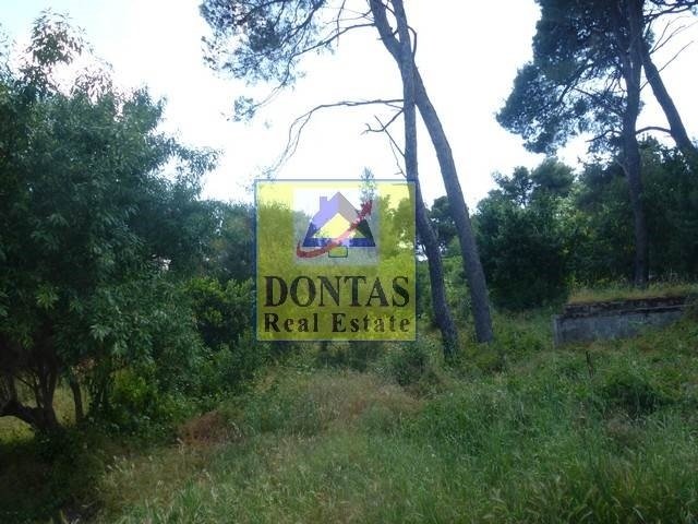 Land in Ekali, Attica, Greece 1 - 17494309