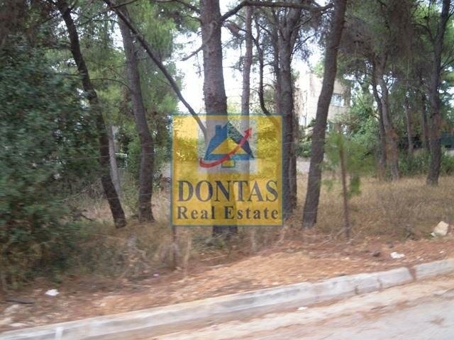 Land in Ekali, Attica, Greece 2 - 17494309