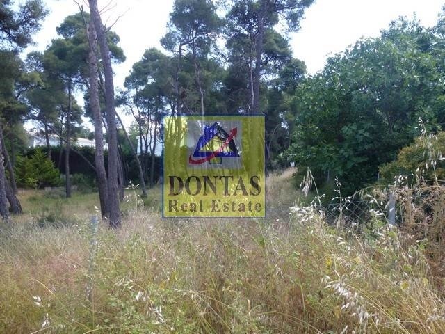 Land in Ekali, Attica, Greece 2 - 17494309