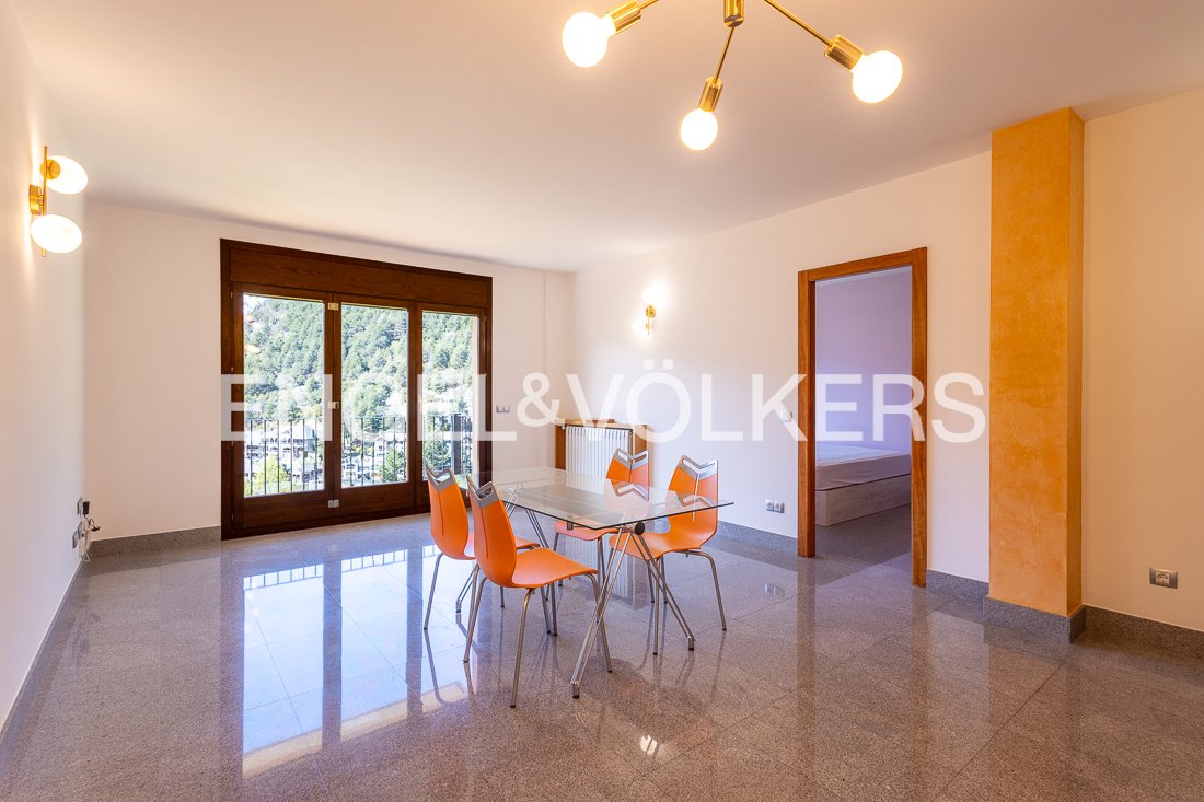 Apartment in Anyós, La Massana, Andorra 3 - 17701937