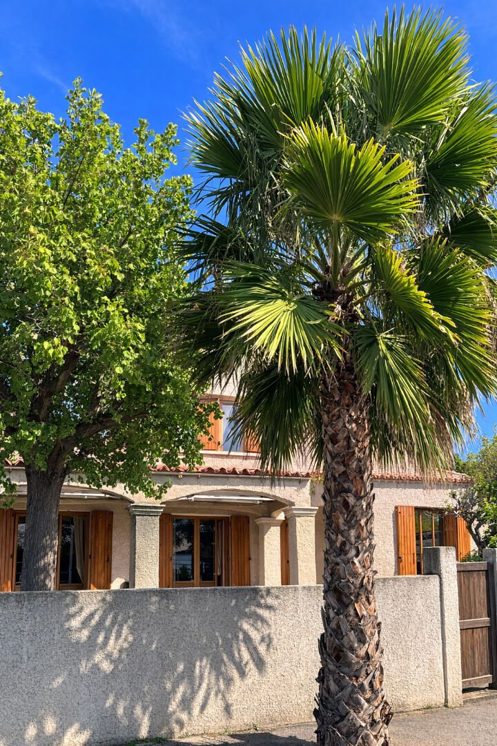Villa in Le Grau-du-Roi, Occitania, France 2 - 17701866