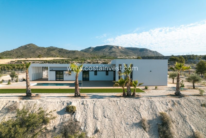 Villa in el Pinos / Pinoso, Valencian Community, Spain 2 - 17695433
