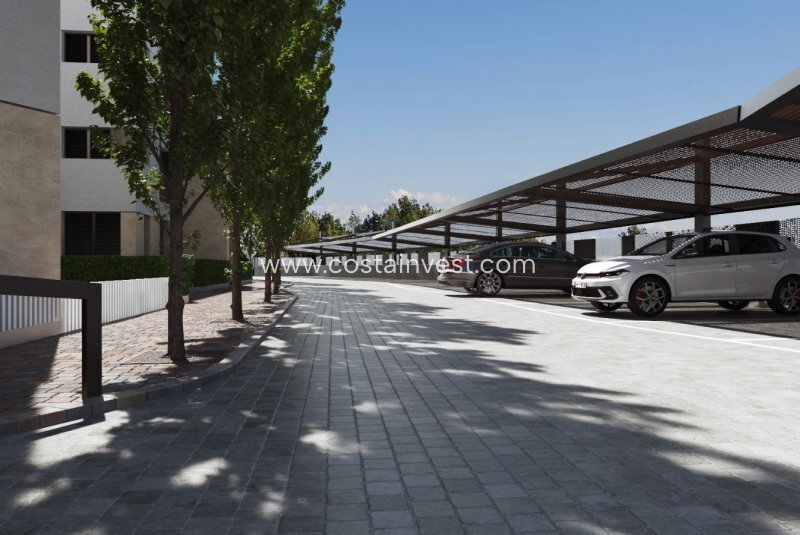 Apartment in Torre Pacheco, Región de Murcia, Spain 5 - 17691317