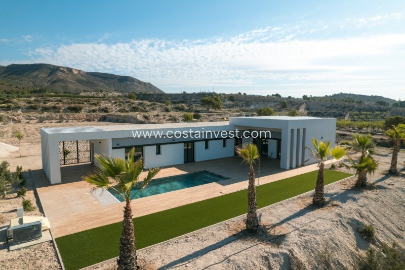 Villa in el Pinos / Pinoso, Valencian Community, Spain 4 - 17695433