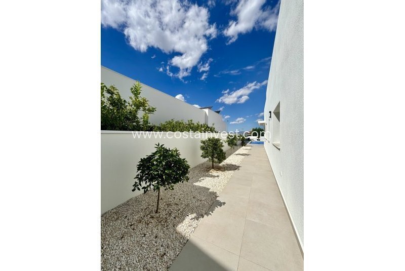 Villa in Benijofar, Valencian Community, Spain 4 - 17695158