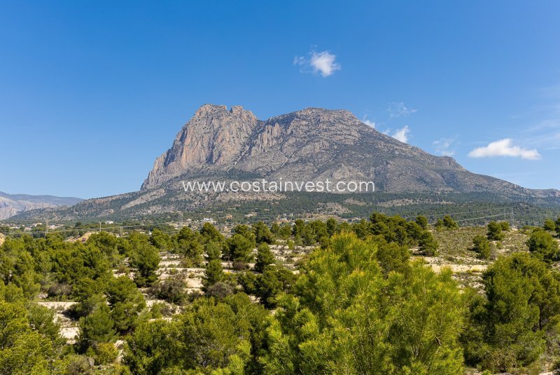 Villa in Finestrat, Valencian Community, Spain 4 - 17691506